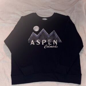 TIME & TRU Navy Aspen Colorado Sweater